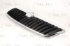 SKODA 1Z0853668A9B9 Radiator Grille
